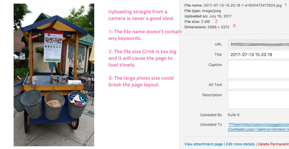 Using Images In WordPress? Size Matters. - Jenn's Web