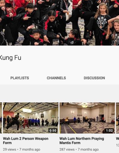 wah lum kung fu video