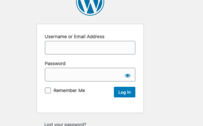 Logging into Your New WordPress Site